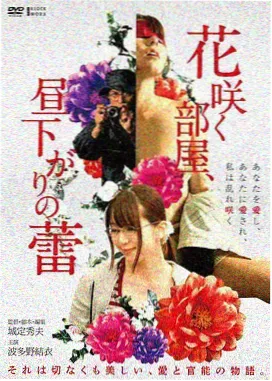 都市迷城剧集封面